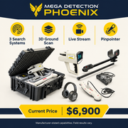 Mega Detection Phoenix key features
